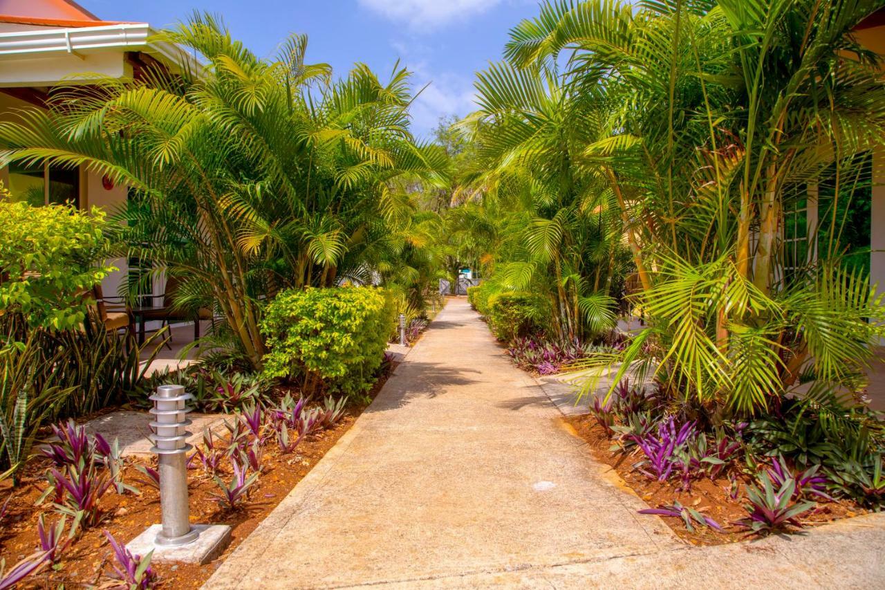 Solare Sai Ecohotel (Adults Only) San Andrés Kültér fotó
